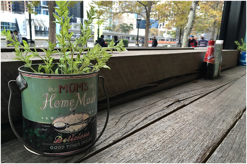 Angie Duncan Photography